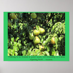 Friendship quote van Aristoteles Poster