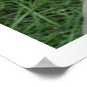 Friendship Star Poster (Hoek)