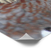 FRIENDSHIP WEET GEEN FENCES - GOAT - ROOSTER POSTER (Hoek)