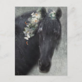 Fries paard - ansichtkaart briefkaart (Voorkant)