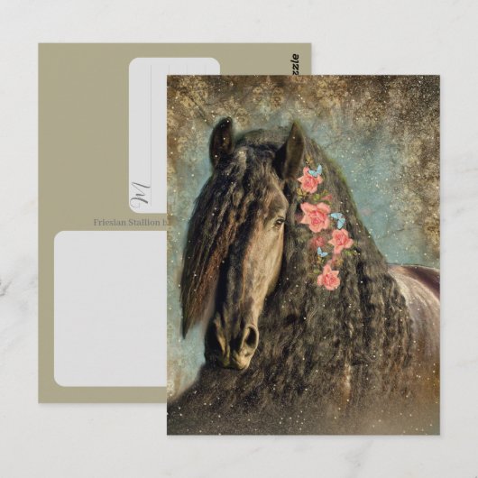 Fries paard - ansichtkaart briefkaart (Voorkant / Achterkant)