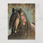 Fries paard - ansichtkaart briefkaart (Voorkant)