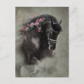 Fries paard - Ansichtkaart Briefkaart (Voorkant)