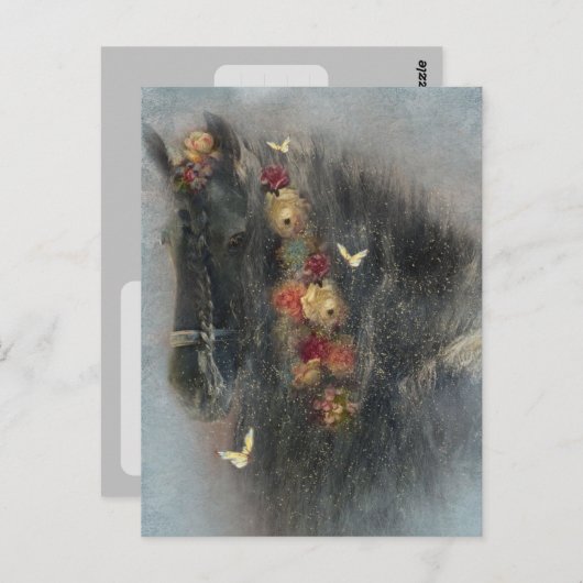 Fries paard - ansichtkaart briefkaart (Voorkant / Achterkant)