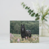 Fries paard in een wildbloemenveld briefkaart (Staand voorkant)