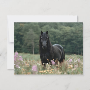Fries paard in een wildbloemenveld briefkaart