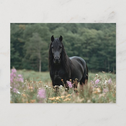 Fries paard in een wildbloemenveld briefkaart (Voorkant)