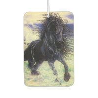 Fries paard, zwarte hengst, Fries paard/7 
