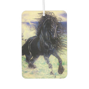 Fries paard, zwarte hengst, Fries paard/7  Luchtverfrisser