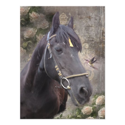 Fries paardenportret - Poster (Voorkant)