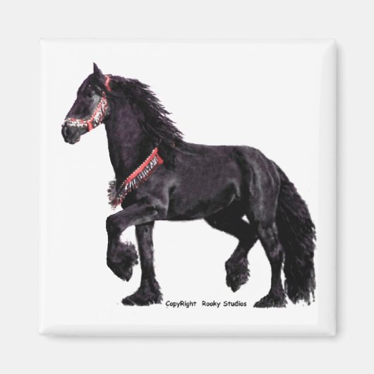 Friese dansmagneet 1 magneet (Voorkant)