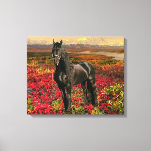 Friese DIAMOND I - Ingewikkeld Canvas Afdruk (Voorkant)