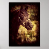 Friese Grunge Poster (Voorkant)