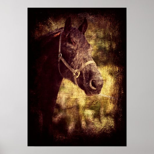 Friese Grunge Poster (Voorkant)