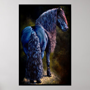 Friese hengst paard, spotlight/schilderij/filter poster