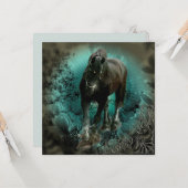 Friese hengst ~ Wenskaart Kaart (Voorkant / Achterkant in situ)