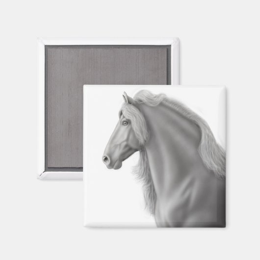 Friese hengstenmagneet magneet (Voorkant / Achterkant)