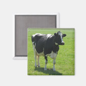 Friese koe in groene weide Koelkastmagneet Magneet (Voorkant / Achterkant)
