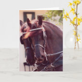 Friese koetspaarden Kaart (Gele Bloem)