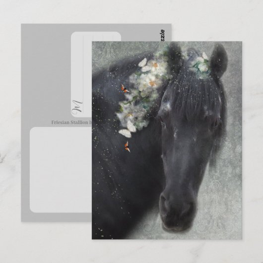 Friese Paard - Ansichtkaart Briefkaart (Voorkant / Achterkant)