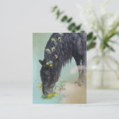 Friese Paard - Ansichtkaart Briefkaart (Staand voorkant)