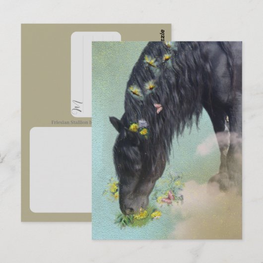 Friese Paard - Ansichtkaart Briefkaart (Voorkant / Achterkant)