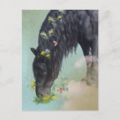 Friese Paard - Ansichtkaart Briefkaart (Voorkant)