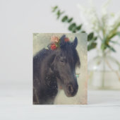 Friese Paard - Ansichtkaart Briefkaart (Staand voorkant)