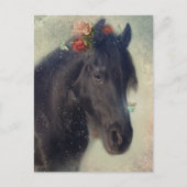 Friese Paard - Ansichtkaart Briefkaart (Voorkant)