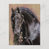 Friese Paard - Ansichtkaart Briefkaart (Voorkant)