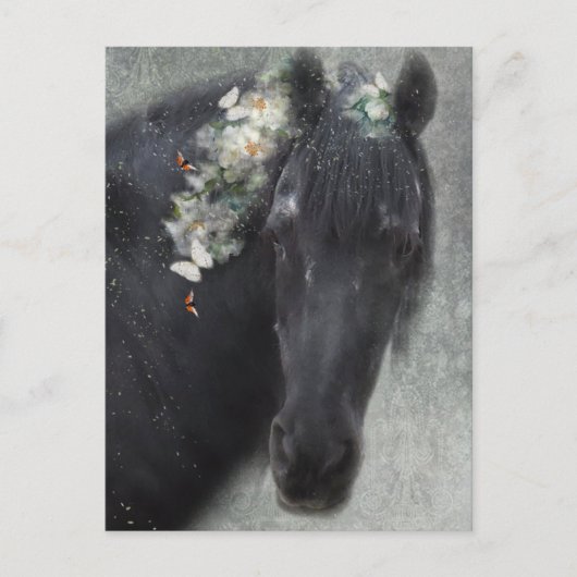 Friese Paard - Briefkaart (Voorkant)