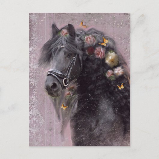 Friese Paard - Briefkaart (Voorkant)