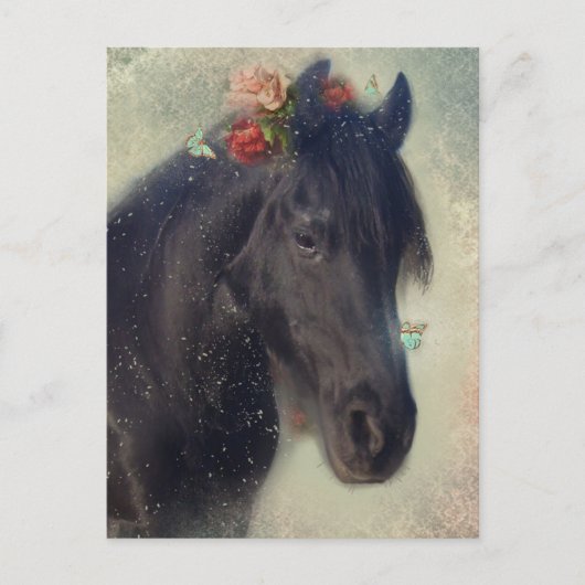 Friese Paard - Briefkaart (Voorkant)