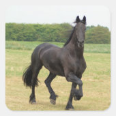 Friese Paard Stickers (Voorkant)