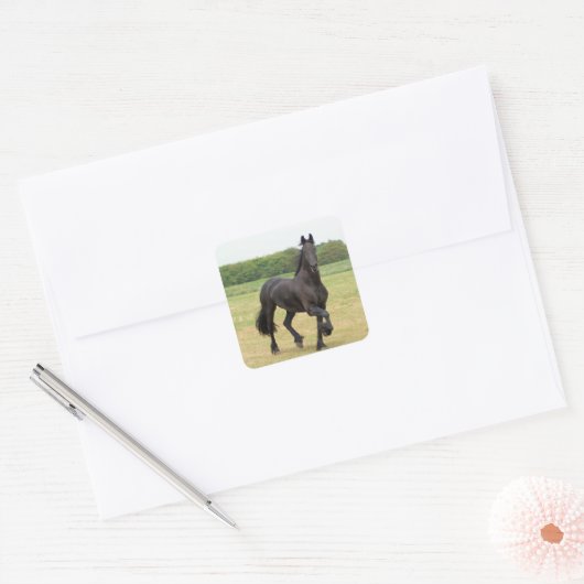 Friese Paard Stickers (Envelop)