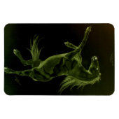Friese paardenfokkerij Flexi Magnet Magneet (Horizontaal)