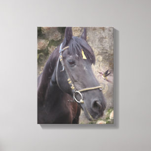 Friese Paardenportret - Ingewikkeld Canvas