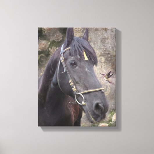 Friese Paardenportret - Ingewikkeld Canvas (Voorkant)