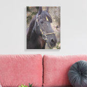Friese Paardenportret - Ingewikkeld Canvas Afdruk (Insitu (Woonkamer))