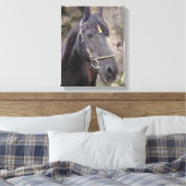Friese Paardenportret - Ingewikkeld Canvas Afdruk (Insitu (Slaapkamer))