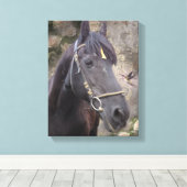 Friese Paardenportret - Ingewikkeld Canvas Afdruk (Insitu (Houten vloer))