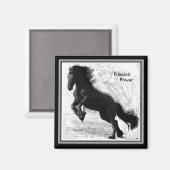 Friese Power Magnet 2 (Voorkant / Achterkant)