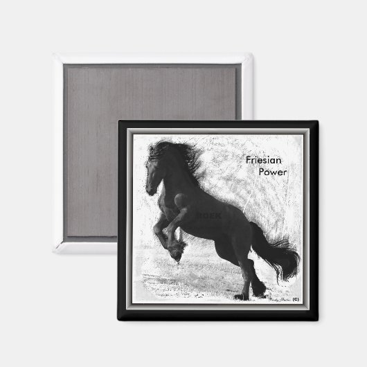 Friese Power Magnet 2 (Voorkant / Achterkant)