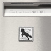 Friese Power Magnet 2 (Insitu (Vaatwasser))