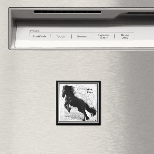 Friese Power Magnet 2 (Insitu (Vaatwasser))