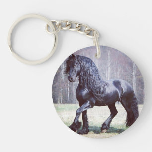 Friese sleutelhanger