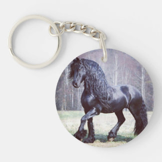 Friese sleutelhanger