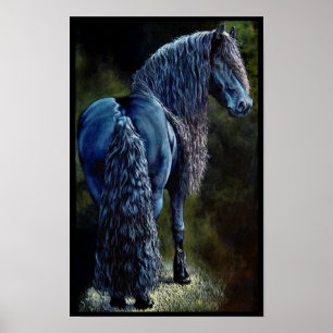 Friesiaanse hengst in spotlight, schilderij poster