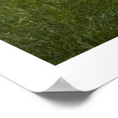 Friesiaanse koe poster (Hoek)