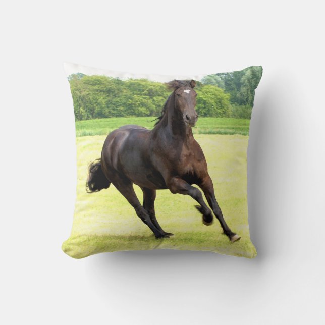 friesian-12.jpg kussen (Voorkant)